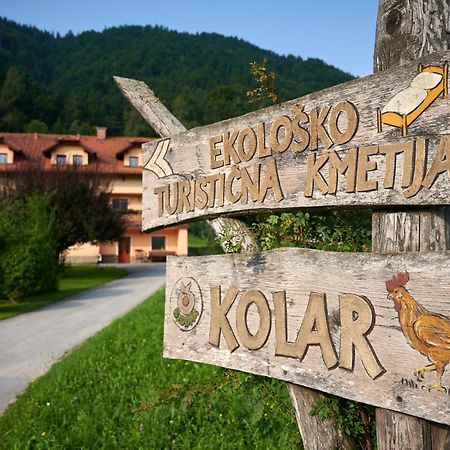 Tourist Farm Kolar Βίλα Ljubno Εξωτερικό φωτογραφία