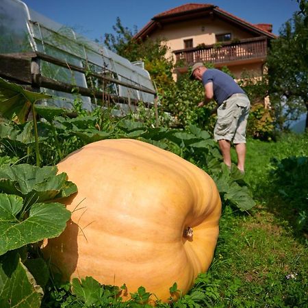 Tourist Farm Kolar Βίλα Ljubno Εξωτερικό φωτογραφία