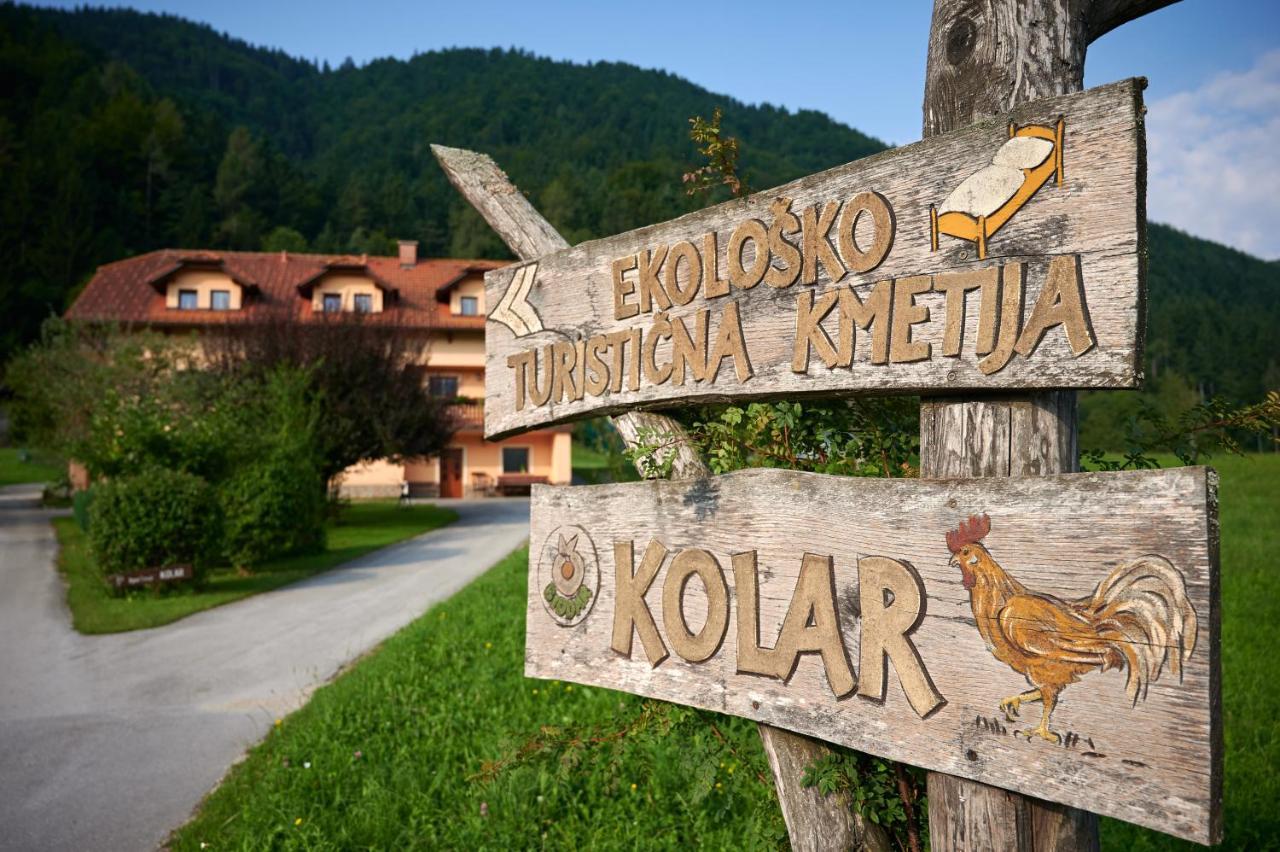 Tourist Farm Kolar Βίλα Ljubno Εξωτερικό φωτογραφία