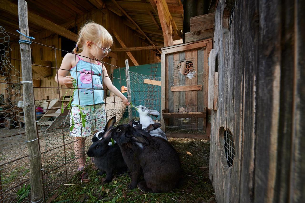 Tourist Farm Kolar Βίλα Ljubno Εξωτερικό φωτογραφία