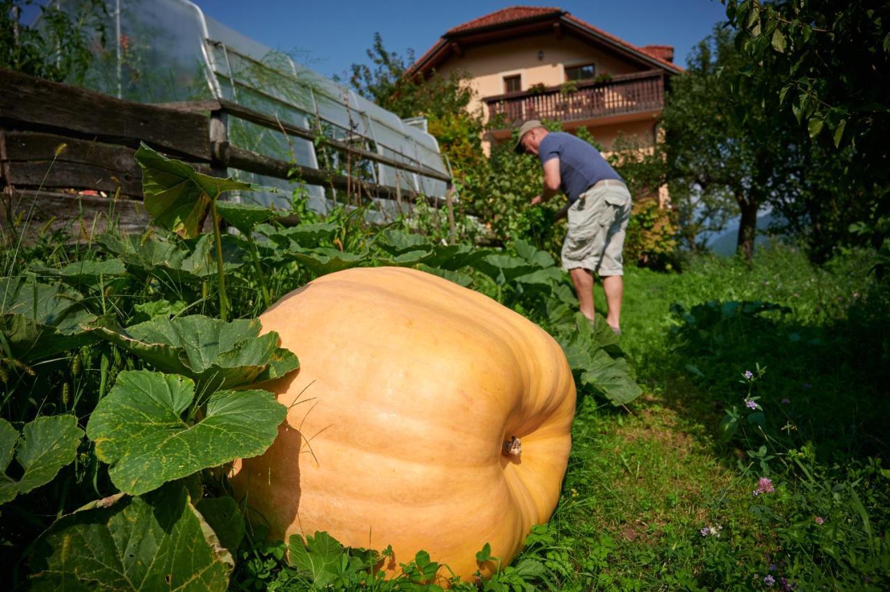 Tourist Farm Kolar Βίλα Ljubno Εξωτερικό φωτογραφία