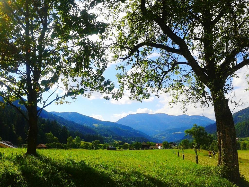 Tourist Farm Kolar Βίλα Ljubno Εξωτερικό φωτογραφία