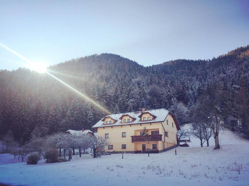 Tourist Farm Kolar Βίλα Ljubno Εξωτερικό φωτογραφία