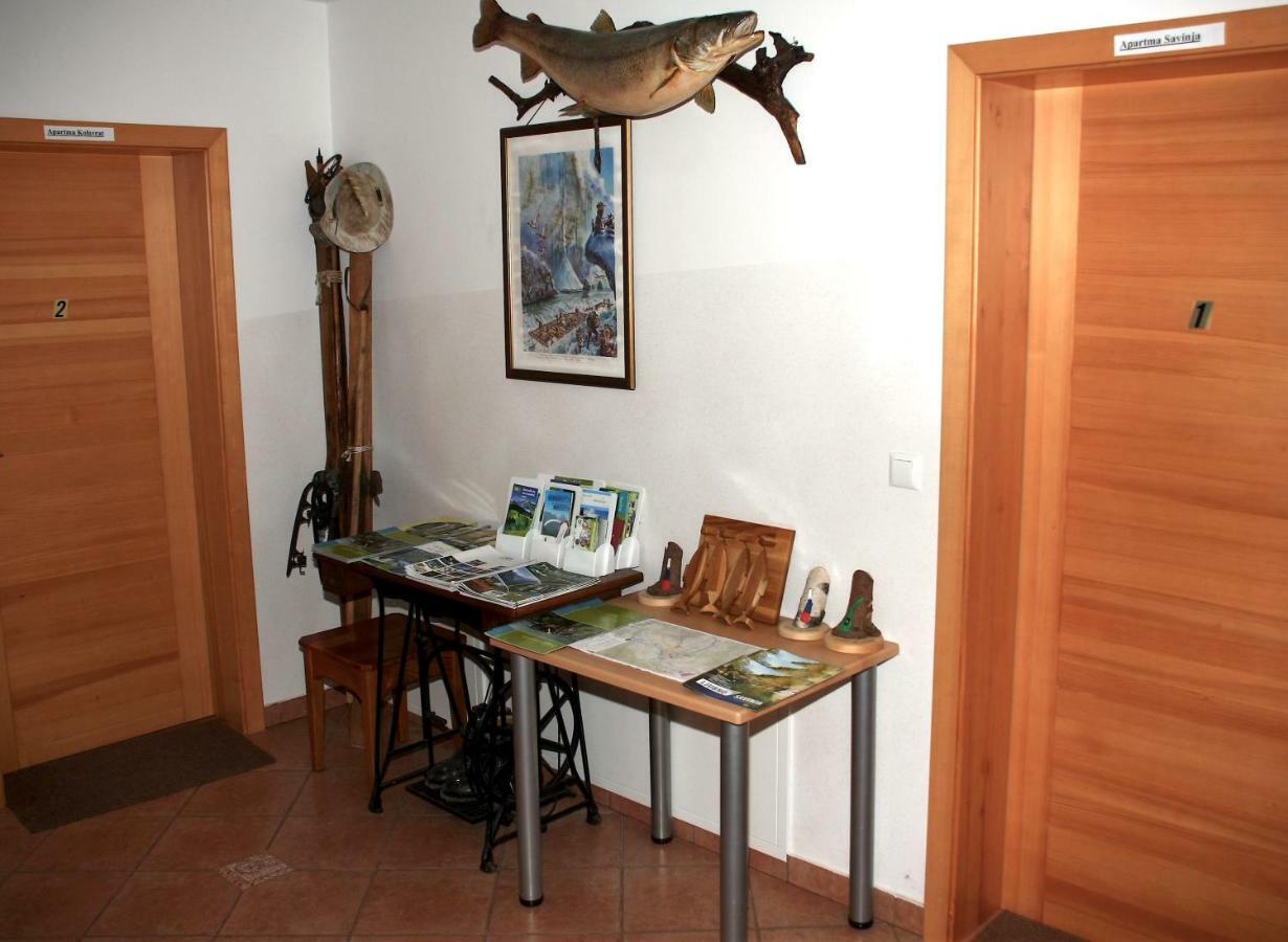 Tourist Farm Kolar Βίλα Ljubno Εξωτερικό φωτογραφία